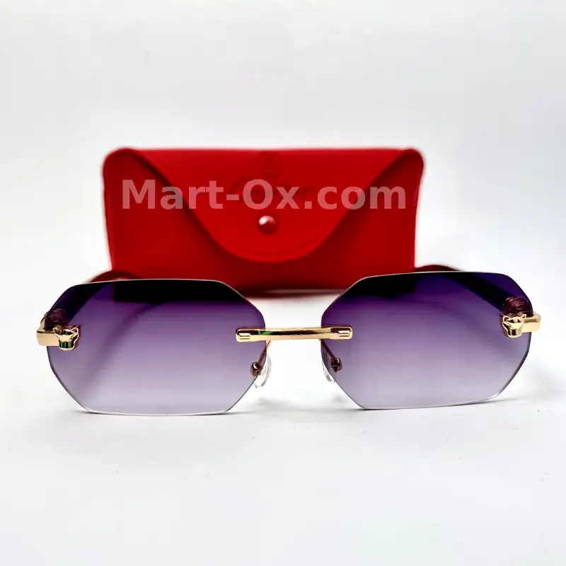 Lion Face Glasses 000003