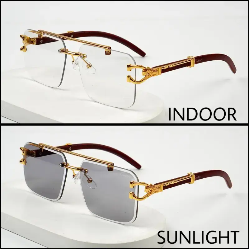 Solar Cheetah Glasses (1 Glasses, 5 Benefits)