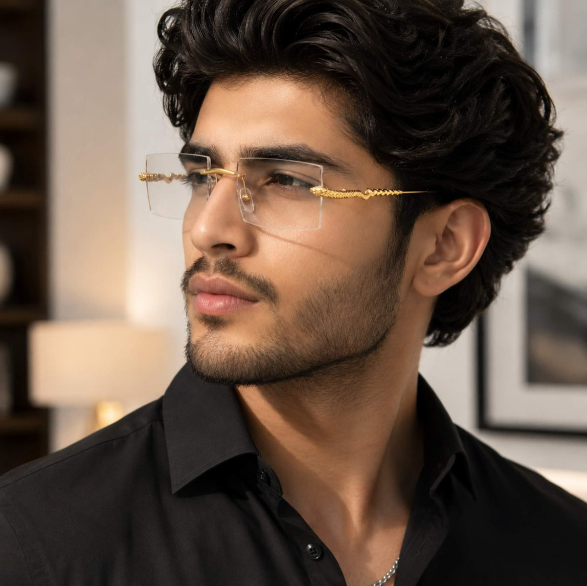 Photochromic Cartier C Décor snake Glasses
