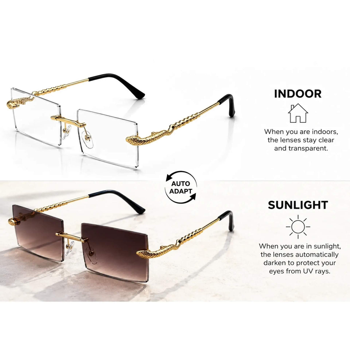 Photochromic Cartier C Décor snake Glasses