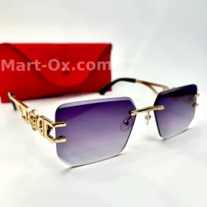 Mart-OX 3 Piece Purple & White Lens Golden Temple with Panther Glasses Royal Prism